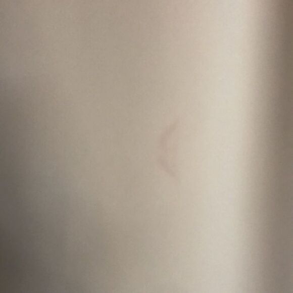 NWT JENNY YOO BRIE DRESS IN CHAI SIZE 12 UNHEMMED RETAIL $275 - Picture 9 of 12